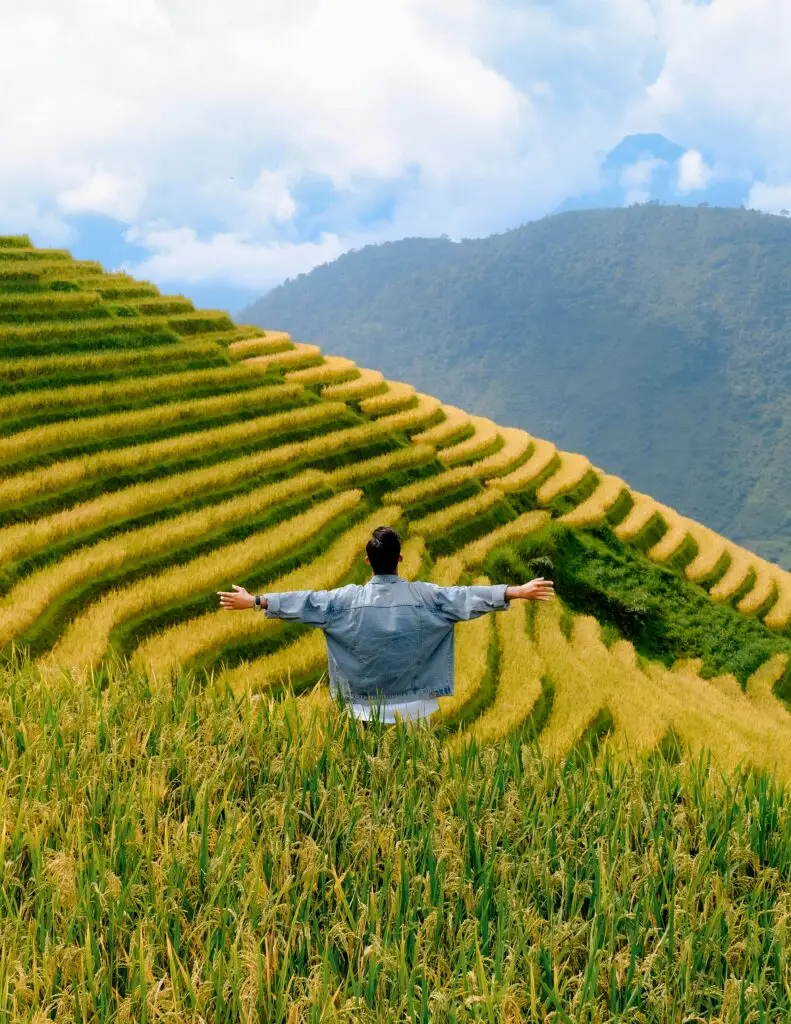 A person embraces nature standing amidst green terraced rice fields in Lào Cai, Vietnam.