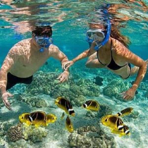 Cham Island Day Tour from Da Nang