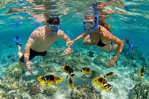 Cham Island Day Tour from Da Nang