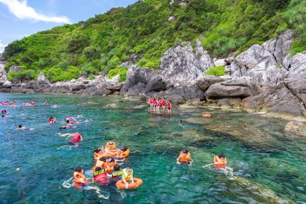 Cham Island Day Tour from Da Nang - Image 6