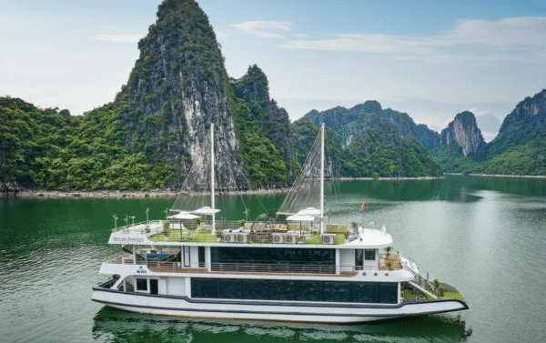 Ha Long Bay Day Tour: Sung Sot & Ti Top by Hercules Premium Cruise