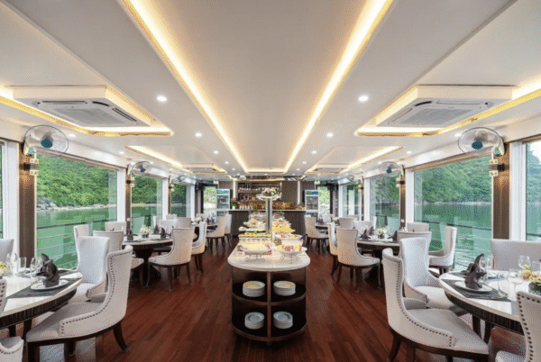 Ha Long Bay Day Tour: Sung Sot & Ti Top by Hercules Premium Cruise - Image 3