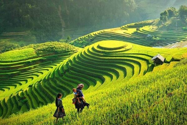 2D1N SAPA - FANSIPAN - CAT CAT VILLAGE from Hanoi - Image 2