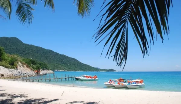Cham Island Day Tour from Da Nang - Image 7