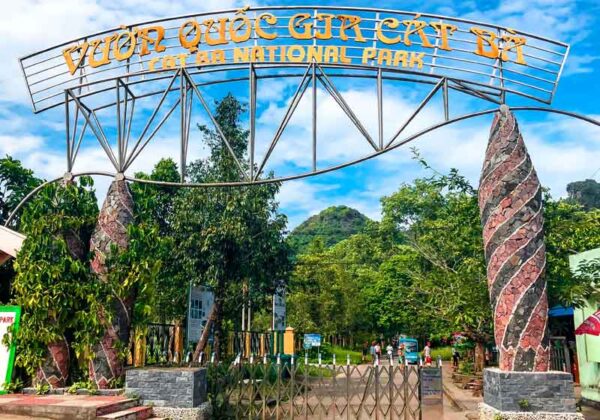 3D2N Cat Ba – Lan Ha Bay Tour from Hanoi - Image 3