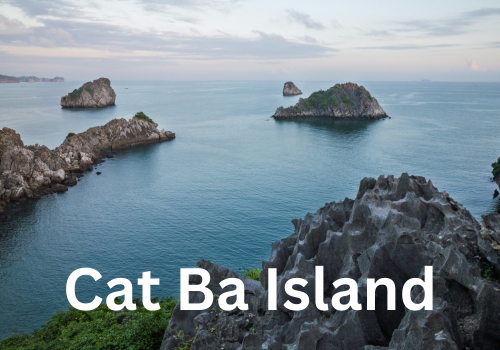 Sapa (700 x 700 px) (500 x 350 px) (10)