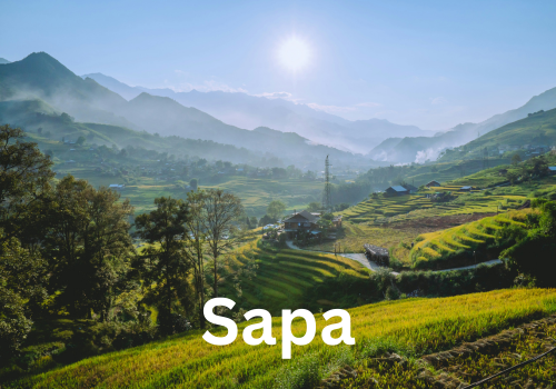 Sapa (700 x 700 px) (500 x 350 px) (6)