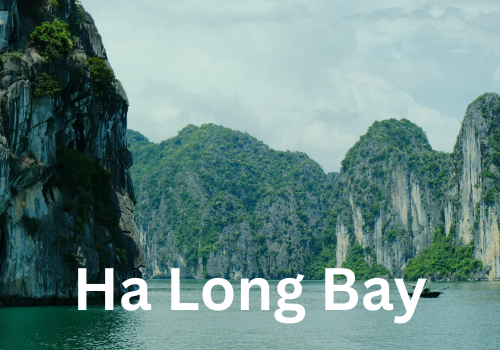 Sapa (700 x 700 px) (500 x 350 px) (9)